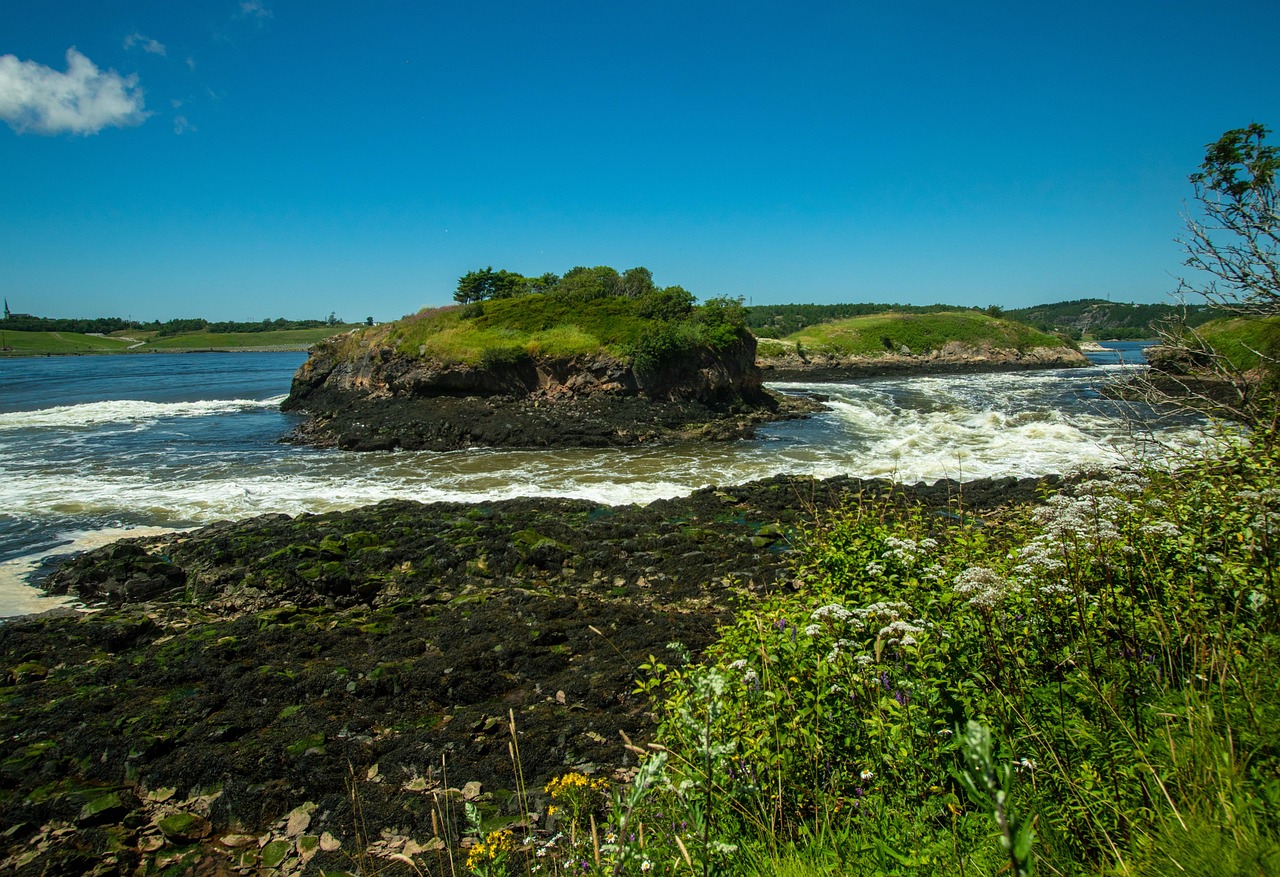 The Grammar of Tides: Reading the Bay of Fundy from a Fishing Wharf