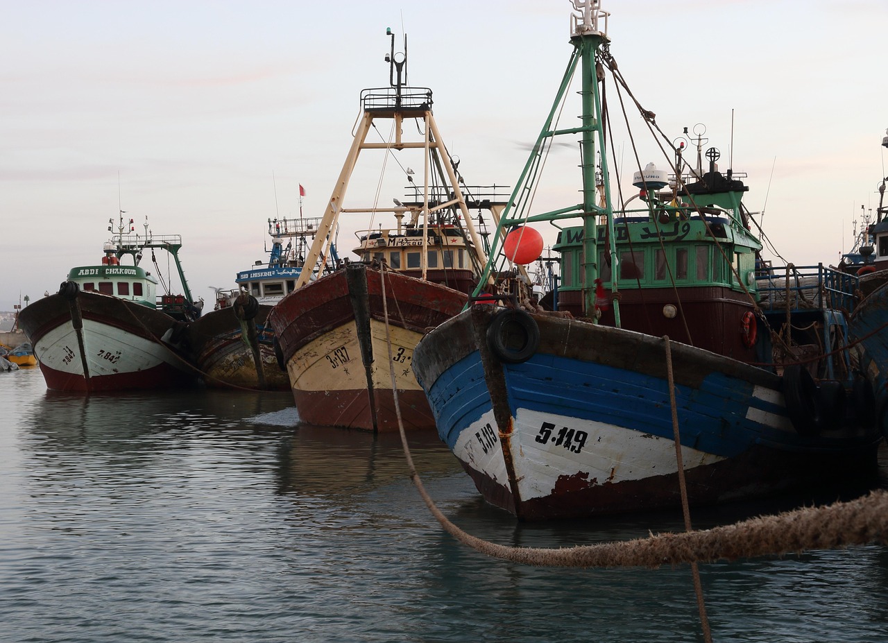 The Harbor That Wrote Itself: Notes from Essaouira, Morocco