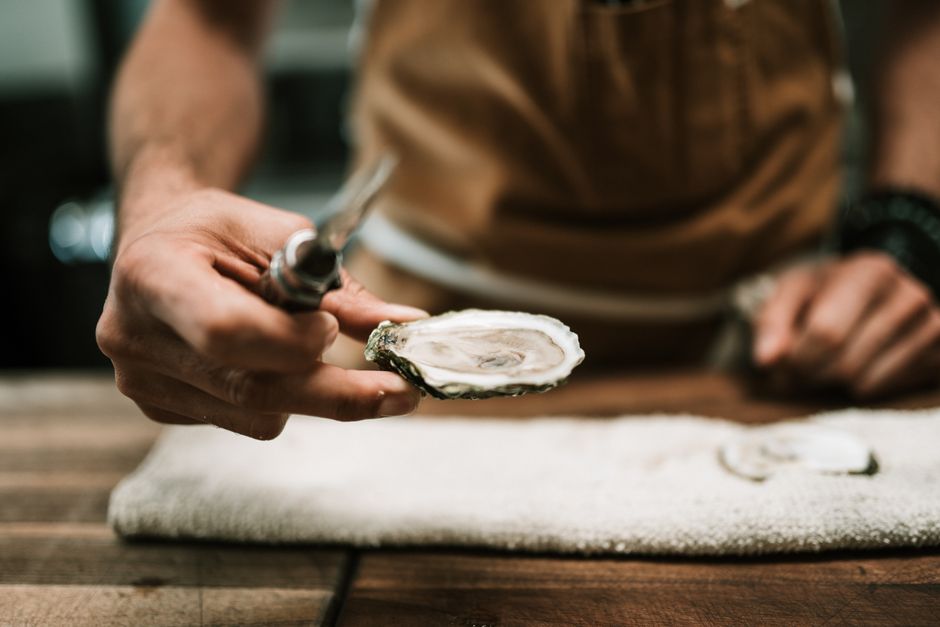 The Oyster Trail of the Chesapeake: Where the Bay Writes Its Own Story